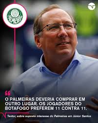INDIRETA BEM DIRETA! 👀🗣️ Ressentimentos do último brasileirão? John  Textor comentou isso em uma notícia de um possível interesse do Palmeiras  em Júnior Santos, do Botafogo.