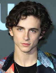 Timothée chalamet and tom holland are reportedly in the running to play willy wonka in a chocolate factory prequel. Timothee Chalamet Rotten Tomatoes