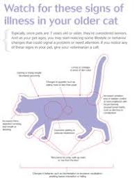 Free Veterinary Client Handout Watch For These Signs Of