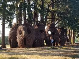 Orenco Woods Nature Park Hillsboro 2019 All You Need To Know Before You Go With Photos Tripadvisor Oregon Parks Park Trip Advisor