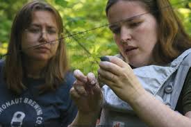 2024 Community Science Report