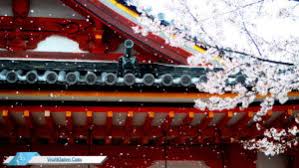 5 tempat wisata terbaik di jepang saat sakura negara jepang atau yang biasa disebut negeri sakura ini memang mempunyai magnet tersendiri untuk menarik perhatian wisatawan. Tips Liburan Ke Jepang Agar Lebih Hemat Visit Klaten