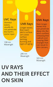 Pin On You And Your Body