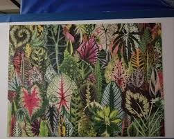 We did not find results for: Houseplant Jungle 1000 Piece Puzzle By Galison Books Barnes Noble