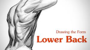 These twists help with stretching your gluteus maximus muscles as well as your lower back. How To Draw Lower Back Muscles Form Youtube