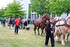 Juli 2018 von magdeburger halbkugeln. Magdeburger Halbkugeln Wikipedia