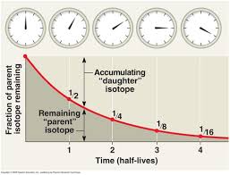 His document discusses the way radiometric dating and stratigraphic principles are used to establish the conventional geological time scale. Relative Dating Fossils And Radiometric Dating Flashcards Quizlet