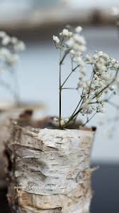 Diy Birken Topf Vase Kreative Fotografie Tipps Und Foto Hacks Diy Deko Selber Machen Idee Deko