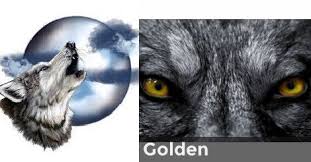 You Have A Gentle Spirit A Level Of Empathy That Only Few Understand These Beta Have A Side That Was Outcasted Spirit Animal Quiz Color Quiz Wolf Eye Color
