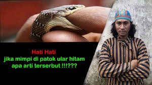 Bagi kebanyakan orang, ular adalah haiwan yang. Mimpi Digigit Ular Kecil Hitam Di Kaki Kanan