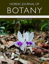 Image result for Nymphoides senegalensis