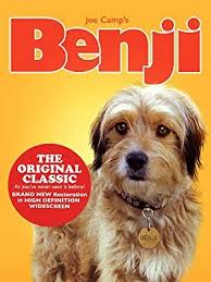 18 Best Dog Movies Every Canine Lover Should Watch In 2020 Dog Movies Dog Films Dogs