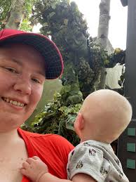 Where does one find Devine in Animal Kingdom?