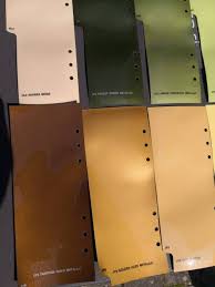 Image result for Amber Sherwood 1973 Fury