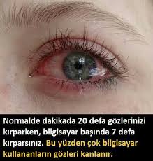 Demir Kaygisizer Adli Kullanicinin Facts Panosundaki Pin Bilgi Alintilari Biliyor Muydunuz Gizli Bilgi