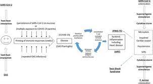 Dass aber auch eine eigentlich harmlose. Multisystem Inflammatory Syndrome Of Children Mis C List Of Frontiers Open Access Articles