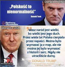 Donald franciszek tusk, polonyalı siyasetçi. Donaldtusk Najlepsze Memy Zdjecia Gify I Obrazki Kwejk Pl