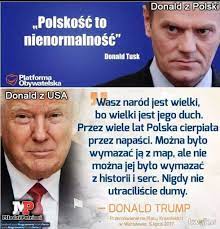 Born 22 april 1957) is a polish politician who was president of the european council from 2014 to 2019. Donaldtusk Najlepsze Memy Zdjecia Gify I Obrazki Kwejk Pl