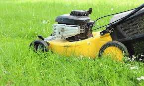 Our leaf blower parts, trimmer parts and edger parts will fit your troybilt power equipment, so you can get back to your yard work in no time. Best Lawn Edger Reviews Archives Lawn Gear Guide