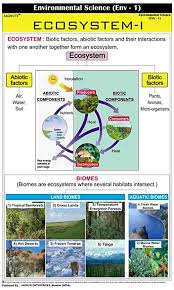 Jagruti Ecosystem Educational Charts Wall Hanging Poster Chart