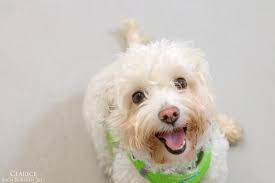 Maxine Farrell (akgirlqld)