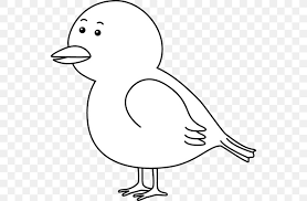 Both sexes are completely black at all ages, though juveniles have subtle pale streaking on the crown. Bird White European Robin Clip Art Png 550x537px Bird American Robin Animal Area Art Download Free