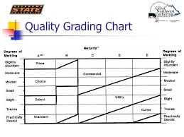 Beef Grading J Brad Morgan Oklahoma State University Ppt