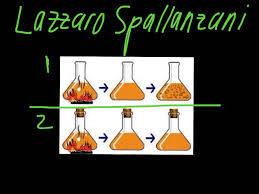 Hasil gambar untuk teori biogenesis louis pasteur