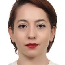 Elif Çetin : EuroMeSCo