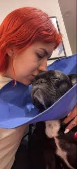 Troy Harp's Instagram, Twitter & Facebook