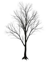 Dark Trees Png Stock 07 Dark Tree Winter Trees Tree Textures