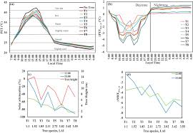 A Study On The Impact Of Shadow Cast And Tree Species On In Canyon And Neighborhood S Thermal Comfort Sciencedirect