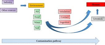 Are you anticipating an osha inspection? Environmental Chemical Contaminants In Food Review Of A Global Problem
