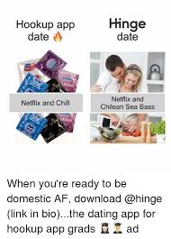 You often times find something completely different, like these funny memes. Hookup App Date Netflix And Chill Hinge Date Netflix And Chilean Sea Bass When You Re Ready To Be Domestic Af Download Link In Biothe Dating App For Hookup App Grads Ad