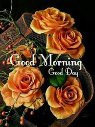 Good Morning Greetings Amazing Flowers Flowers Photography Morning Flowers