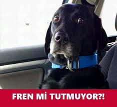 Fren Mi Tutmuyor Mizah Matrak Komik Espri Saka Girgir Komiksozler Caps Mizah Komik Sakalar
