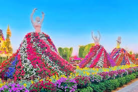 The Ballet Dancers Bloom Petunia Flowers At The Dubai Miracle Garden They Display Maximum Numbers Of Colors Too Th Miracle Garden Dubai Garden Flower Bedding