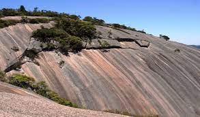 Despite claimed as 3 hours one way we were there in an hour. Bald Rock National Park Nsw National Parks