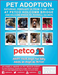 Keeping pets and people healthy is our top priority. Pin By Angels Among Us Pet Rescue On Adoptable Dogs Petco Among Us Pet Dog Adoption