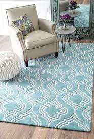 Area Rugs In Many Styles Including Contemporary Braided Outdoor And Flokati Shag Rugs Turquoise Rug Living Room Rugs In Living Room Home Decor