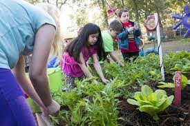 Garden Help Get Ready Now For Fall Vegetable Planting