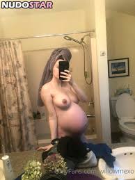 willowmexo1234  thetaylorxmichele  willowmexo Nude Leaks OnlyFans Photo  27 - NudoStar