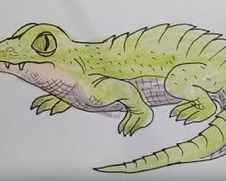 Draw a wide curved line for the smiling mouth and cap it with short. How To Draw An Axolotl Step By Step Easy Easy Animals To Draw