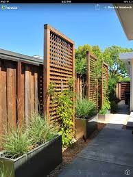 Idea For Screening Privacy Fence Landscaping Backyard Privacy Backyard