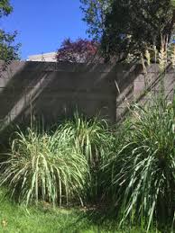 8601) or quikrete oil stain remover (no. Anyone Used Quikrete Semi Transparent Concrete Stain From Lowes