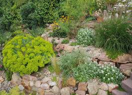 You may discover some plants look better next to each other, large plants may work best on the first layer, and smaller ones should be placed strategically to optimize the overall aesthetic appeal of your decorative rock garden. How To Create A Rock Garden The English Garden