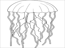 Printable jellyfish zentangle adults coloring page. Jellyfish Coloring Pages To Print Coloringbay
