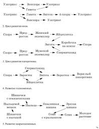 гдз по английскому языку 5 класс афанасьева и верещагина Gdz Anglijskij Yazyk Vereshagina Afanaseva Klass Norton Internet Security Human Resources Internet Security