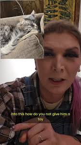 This is exactly the kind of description my second child would have given at  this kind of age 😆