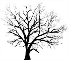 Line Drawing Trees Clipart Best Tree Drawing Tree Tattoo Family Tree Tattoo